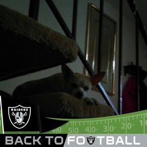 Meet your Posher, Laquita